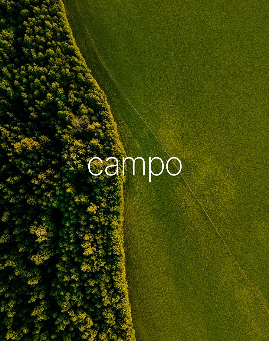 Destino Campo